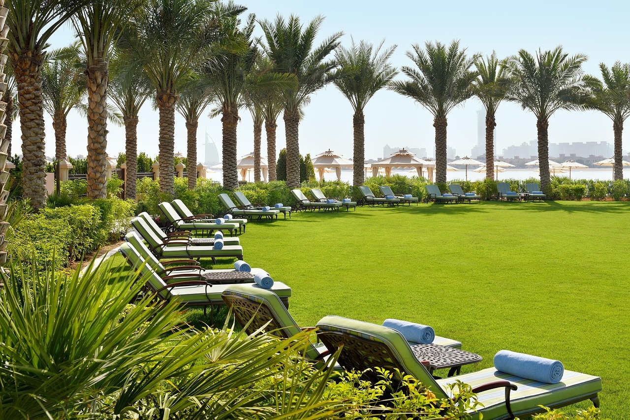 Relaxing resort grounds with palms and loungers